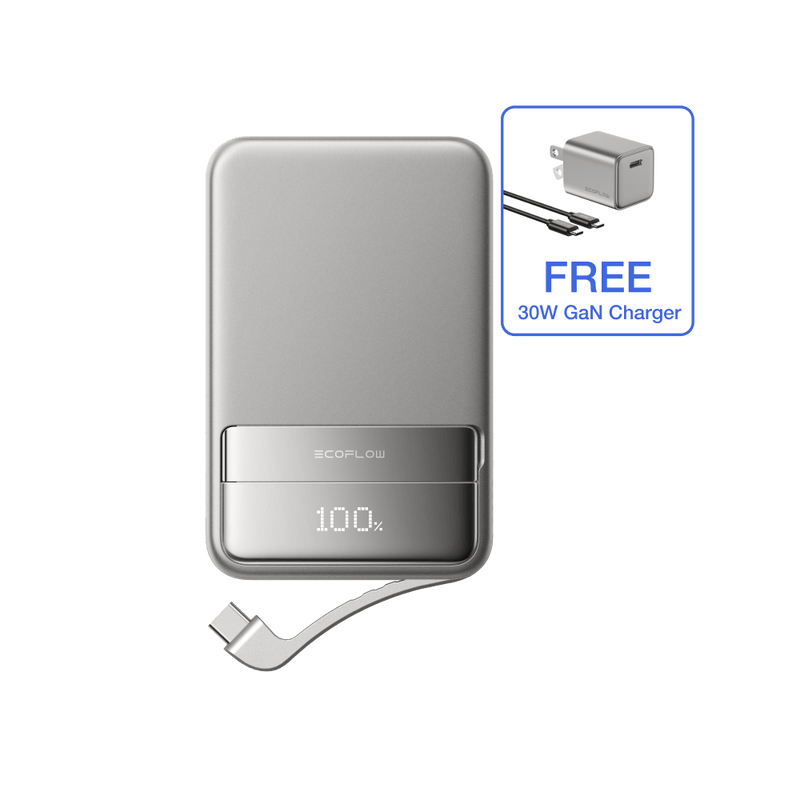 Load image into Gallery viewer, EcoFlow 10000 mAh / Silver / FREE 30W Charger EcoFlow RAPID Magnetic Power Bank (10000mAh)
