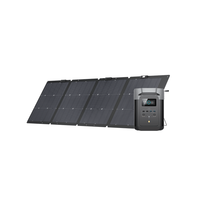 EcoFlow US Bundle 1*220W + DELTA 2 EcoFlow DELTA 2 Solar Generator (PV220W)