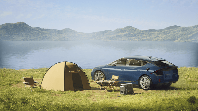 EcoFlow UK Portable RV & EV Power with DELTA Pro: DELTA Pro + Grounding Adapter